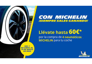 Neumáticos Michelin